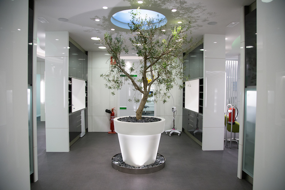 Espacio de Salud DKV Paseo Constitución [Zaragoza]
